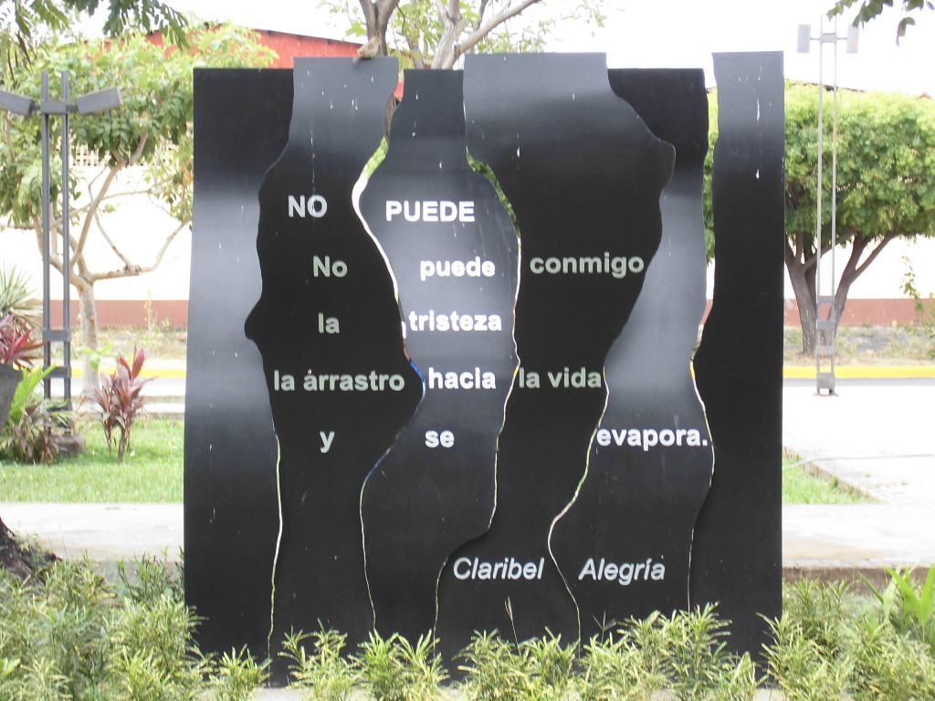 CIMG0172-1024x768-1.jpg