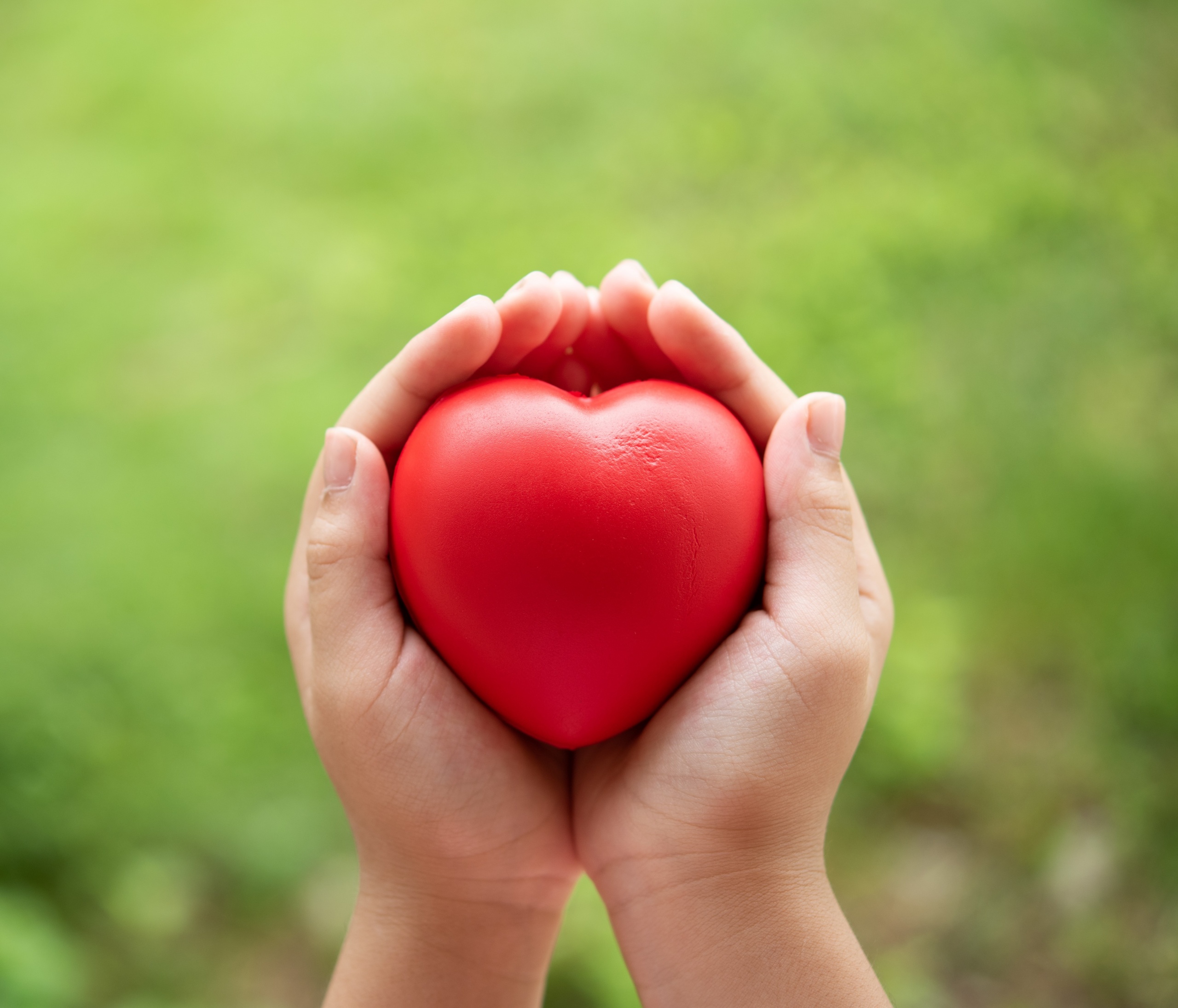 Two hands of child holding a red of rubber heart